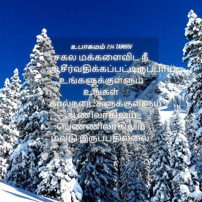 Picture 04 - உபாகமம் 7:14 TAMIRV - சகல மக்களைவிட நீ - Bible Verse Picture