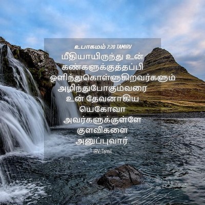 Picture 04 - உபாகமம் 7:20 TAMIRV - மீதியாயிருந்து - Bible Verse Picture