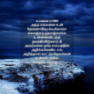 Picture 04 - உபாகமம் 7:22 TAMIRV - அந்த மக்களை உன் - Bible Verse Picture