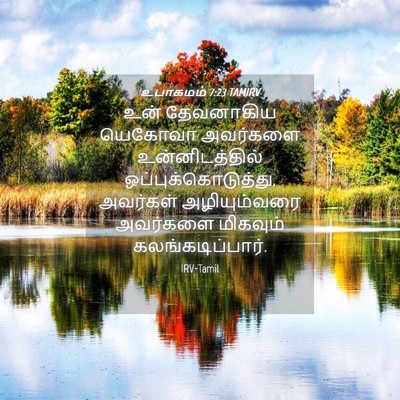Picture 04 - உபாகமம் 7:23 TAMIRV - உன் தேவனாகிய - Bible Verse Picture