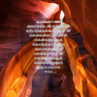 Picture 04 - உபாகமம் 7:3 TAMIRV - அவர்களுடன் - Bible Verse Picture