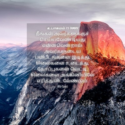 Picture 04 - உபாகமம் 7:5 TAMIRV - நீங்கள் - Bible Verse Picture