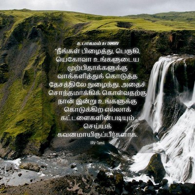 Picture 04 - உபாகமம் 8:1 TAMIRV - “நீங்கள் - Bible Verse Picture