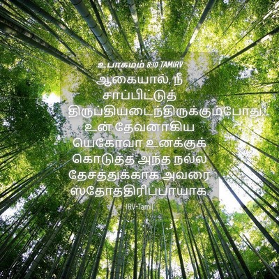 Picture 04 - உபாகமம் 8:10 TAMIRV - ஆகையால், நீ - Bible Verse Picture