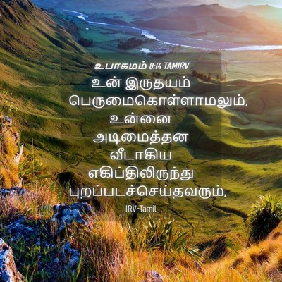 Picture 04 - உபாகமம் 8:14 TAMIRV - உன் இருதயம் - Bible Verse Picture