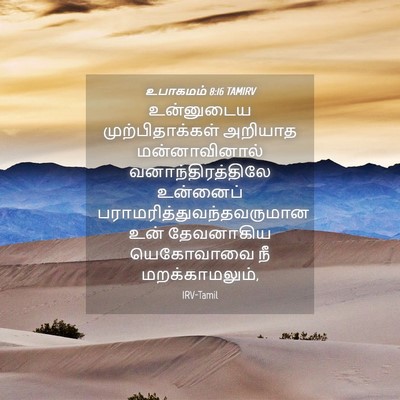 Picture 04 - உபாகமம் 8:16 TAMIRV - உன்னுடைய - Bible Verse Picture