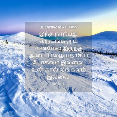 Picture 04 - உபாகமம் 8:4 TAMIRV - இந்த நாற்பது - Bible Verse Picture
