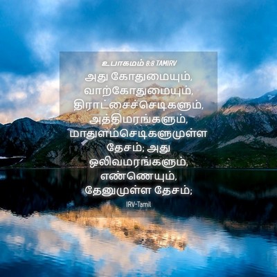 Picture 04 - உபாகமம் 8:8 TAMIRV - அது கோதுமையும், - Bible Verse Picture