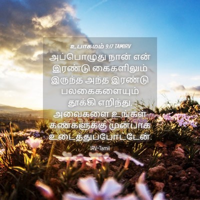 Picture 04 - உபாகமம் 9:17 TAMIRV - அப்பொழுது நான் - Bible Verse Picture