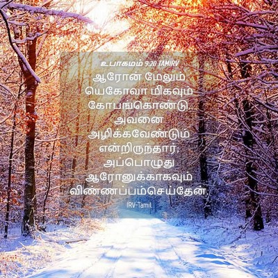 Picture 04 - உபாகமம் 9:20 TAMIRV - ஆரோன் மேலும் - Bible Verse Picture