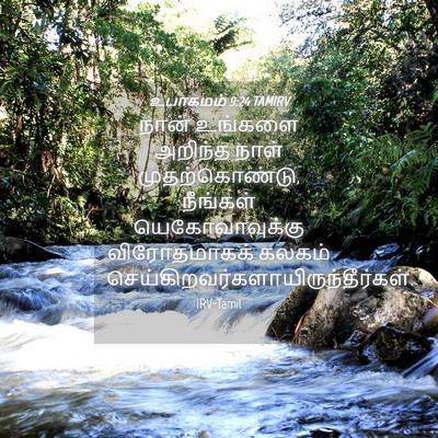 Picture 04 - உபாகமம் 9:24 TAMIRV - நான் உங்களை - Bible Verse Picture