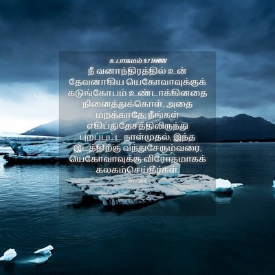Picture 04 - உபாகமம் 9:7 TAMIRV - நீ வனாந்திரத்தில் - Bible Verse Picture