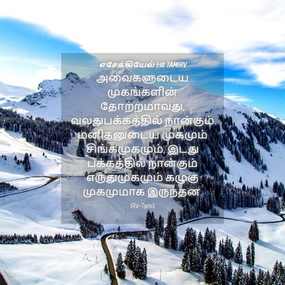 Picture 04 - எசேக்கியேல் 1:10 TAMIRV - அவைகளுடைய - Bible Verse Picture