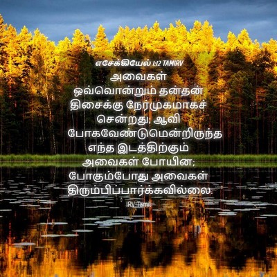 Picture 04 - எசேக்கியேல் 1:12 TAMIRV - அவைகள் - Bible Verse Picture
