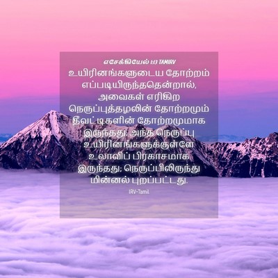 Picture 04 - எசேக்கியேல் 1:13 TAMIRV - உயிரினங்களுடைய - Bible Verse Picture