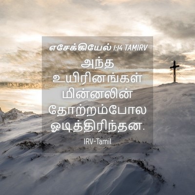 Picture 04 - எசேக்கியேல் 1:14 TAMIRV - அந்த உயிரினங்கள் - Bible Verse Picture