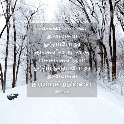 Picture 04 - எசேக்கியேல் 1:17 TAMIRV - அவைகள் ஓடும்போது - Bible Verse Picture