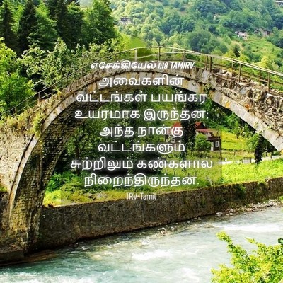 Picture 04 - எசேக்கியேல் 1:18 TAMIRV - அவைகளின் - Bible Verse Picture