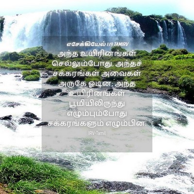 Picture 04 - எசேக்கியேல் 1:19 TAMIRV - அந்த உயிரினங்கள் - Bible Verse Picture