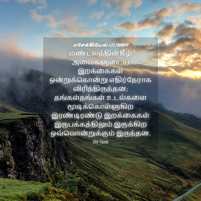 Picture 04 - எசேக்கியேல் 1:23 TAMIRV - மண்டலத்தின்கீழ் - Bible Verse Picture