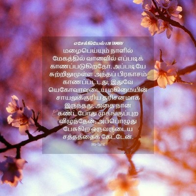 Picture 04 - எசேக்கியேல் 1:28 TAMIRV - மழைபெய்யும் - Bible Verse Picture