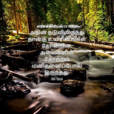 Picture 04 - எசேக்கியேல் 1:5 TAMIRV - அதின் - Bible Verse Picture