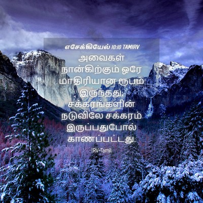 Picture 04 - எசேக்கியேல் 10:10 TAMIRV - அவைகள் - Bible Verse Picture