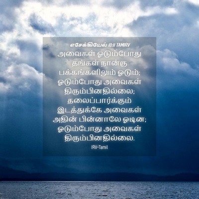 Picture 04 - எசேக்கியேல் 10:11 TAMIRV - அவைகள் ஓடும்போது - Bible Verse Picture