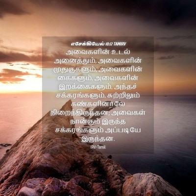 Picture 04 - எசேக்கியேல் 10:12 TAMIRV - அவைகளின் உடல் - Bible Verse Picture