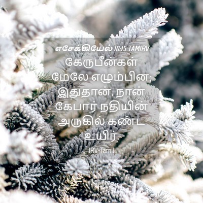 Picture 04 - எசேக்கியேல் 10:15 TAMIRV - கேருபீன்கள் மேலே - Bible Verse Picture