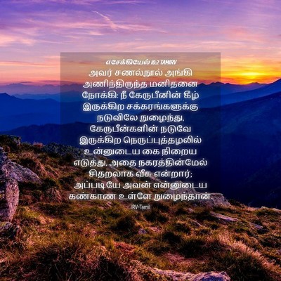 Picture 04 - எசேக்கியேல் 10:2 TAMIRV - அவர் சணல்நூல் - Bible Verse Picture