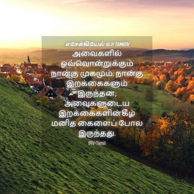 Picture 04 - எசேக்கியேல் 10:21 TAMIRV - அவைகளில் - Bible Verse Picture