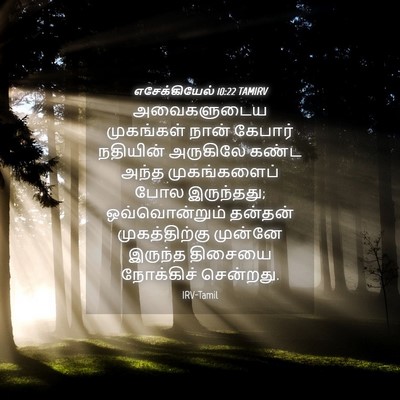 Picture 04 - எசேக்கியேல் 10:22 TAMIRV - அவைகளுடைய - Bible Verse Picture