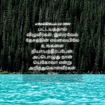 Picture 04 - எசேக்கியேல் 11:10 TAMIRV - பட்டயத்தால் - Bible Verse Picture