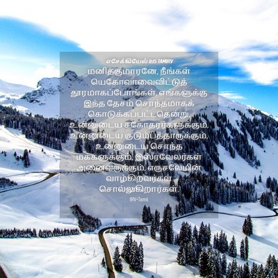 Picture 04 - எசேக்கியேல் 11:15 TAMIRV - மனிதகுமாரனே, - Bible Verse Picture