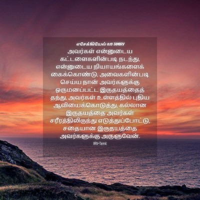Picture 04 - எசேக்கியேல் 11:19 TAMIRV - அவர்கள் என்னுடைய - Bible Verse Picture