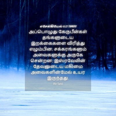 Picture 04 - எசேக்கியேல் 11:22 TAMIRV - அப்பொழுது - Bible Verse Picture