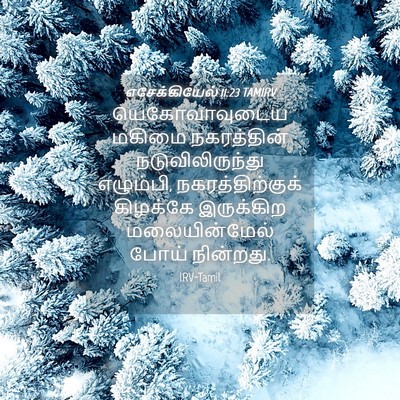 Picture 04 - எசேக்கியேல் 11:23 TAMIRV - யெகோவாவுடைய மகிமை - Bible Verse Picture