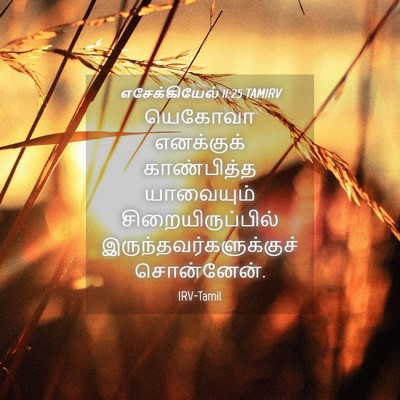 Picture 04 - எசேக்கியேல் 11:25 TAMIRV - யெகோவா எனக்குக் - Bible Verse Picture