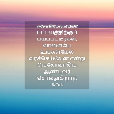 Picture 04 - எசேக்கியேல் 11:8 TAMIRV - பட்டயத்திற்குப் - Bible Verse Picture