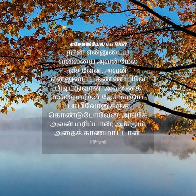 Picture 04 - எசேக்கியேல் 12:13 TAMIRV - நான் என்னுடைய - Bible Verse Picture