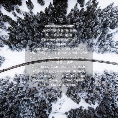 Picture 04 - எசேக்கியேல் 12:16 TAMIRV - ஆனாலும் தாங்கள் - Bible Verse Picture