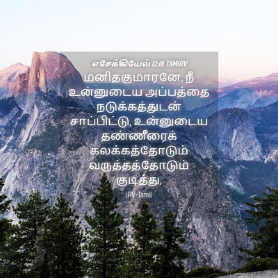 Picture 04 - எசேக்கியேல் 12:18 TAMIRV - மனிதகுமாரனே, நீ - Bible Verse Picture
