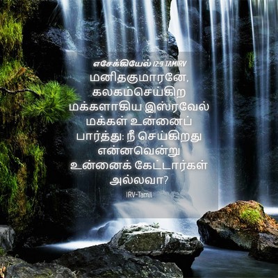Picture 04 - எசேக்கியேல் 12:9 TAMIRV - மனிதகுமாரனே, - Bible Verse Picture