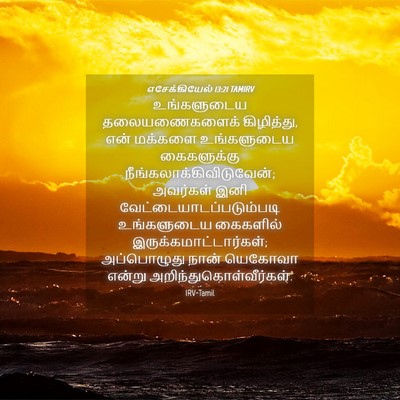 Picture 04 - எசேக்கியேல் 13:21 TAMIRV - உங்களுடைய - Bible Verse Picture
