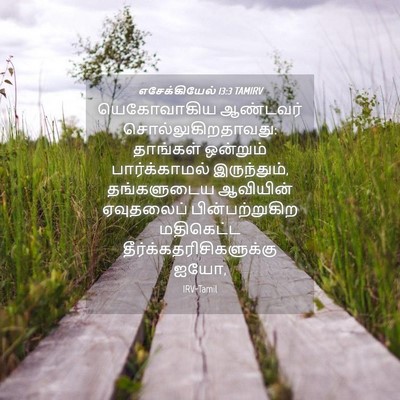 Picture 04 - எசேக்கியேல் 13:3 TAMIRV - யெகோவாகிய ஆண்டவர் - Bible Verse Picture