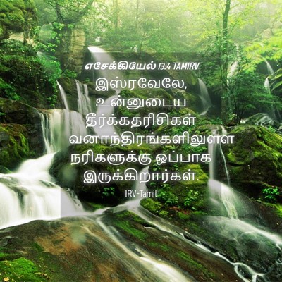 Picture 04 - எசேக்கியேல் 13:4 TAMIRV - இஸ்ரவேலே, - Bible Verse Picture