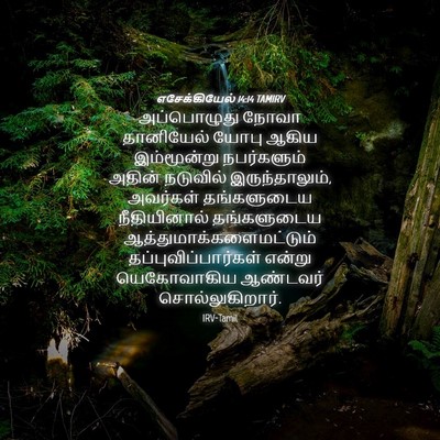 Picture 04 - எசேக்கியேல் 14:14 TAMIRV - அப்பொழுது நோவா - Bible Verse Picture