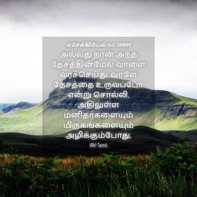 Picture 04 - எசேக்கியேல் 14:17 TAMIRV - அல்லது நான் அந்த - Bible Verse Picture