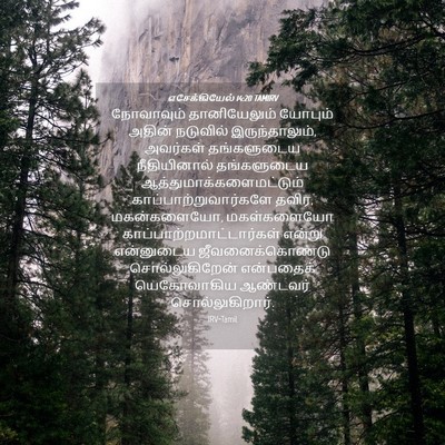 Picture 04 - எசேக்கியேல் 14:20 TAMIRV - நோவாவும் - Bible Verse Picture